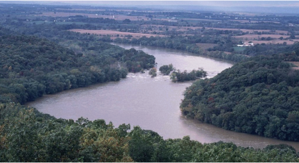 E-Newsletter – February 2026